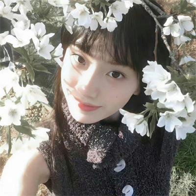 精选剧集